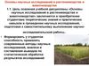 Основы научных исследований в растениеводстве и животноводстве