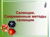 Селекция. Современные методы селекции