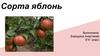 Сорта яблонь