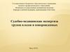 Судебно-медицинская экспертиза трупов плодов и новорожденных