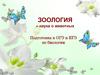 Зоология – наука о животных. Подготовка к ОГЭ и ЕГЭ по биологии