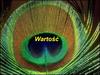 Wartość