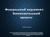 Законодательная власть РФ. Федеральный парламент. Законодательный процесс