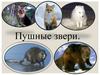 Пушные звери