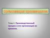 Производственный процесс и его организация во времени