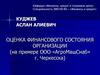 Оценка финансового состояния организации (на примере ООО «Агромашснаб» г. Черкесска)