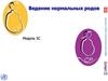 Ведение нормальных родов