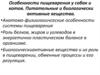 Особенности пищеварения у собак и котов. Питательные и биологически активные вещества
