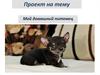 Проект на тему: Мой домашний питомец