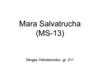 Mara Salvatrucha (MS-13)