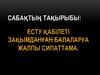 Есту қабілеті зақымданған балаларға жалпы сипаттама