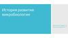 Развитие микробиологии