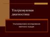 Ультразвуковая диагностика. Ультразвуковое исследование желчного пузыря