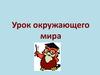 Урок окружающего мира