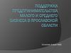 Поддержка предпринимательства малого и среднего бизнеса в Ярославской области