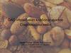 ОАО «Комбинат хлебопродуктов Старооскольский»