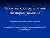 Атлас микропрепаратов по паразитологии