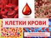 Клетки крови