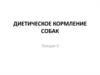 Диетическое кормление собак