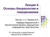 Основы биореологии и гемодинамики. (Лекция 4)