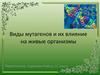 Виды мутагенов и их влияние на живые организмы