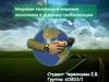 Мировая политика и мировая экономика в условиях глобализации