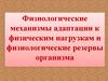 Физиологические механизмы адаптации к физическим нагрузкам и физиологические резервы организма