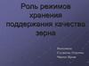 Роль режимов хранения поддержания качества зерна