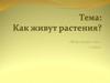 Как живут растения