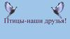 Птицы - наши друзья