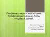 Пищевые связи в экосистеме. Трофические уровни. Типы пищевых цепей
