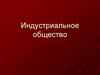 Индустриальное общество