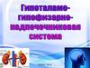 Гипоталамо-гипофизарно-надпочечниковая система