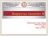 Вирусты. Гепатит В. Эпидемиологиясы