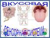 Вкусовая сенсорная система