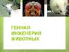Генная инженерия животных