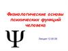 Физиологические основы психических функций человека