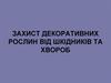 Захист декоративних рослин від шкідників та хвороб