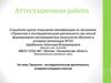 Аттестационная работа. Проектно - исследовательская деятельность учащихся младших классов