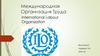 Международная организация труда