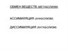 Обмен веществ. Ассимиляция. Диссимиляция