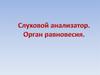 Слуховой анализатор. Орган равновесия