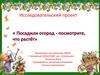 Исследовательский проект «Посадили огород — посмотрите, что растёт»