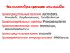 Неспорообразующие анаэробы
