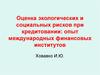 Оценка экологических и социальных рисков при кредитовании: опыт международных финансовых институтов