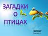 Загадки о птицах