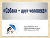 Собака - друг человека