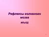 Рефлексы головного мозга
