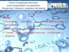 Гетероциклические азотсодержащие соединения. Лекарства. Химия и здоровье человека