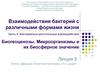 Взаимодействия бактерий с различными формами жизни